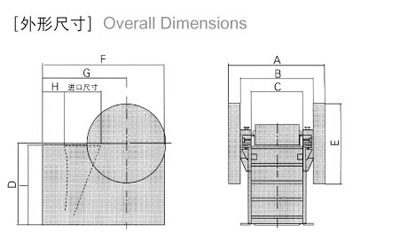 γߴD